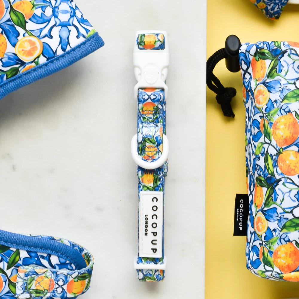 Amalfi Lemon Collar 4 Amalfi Lemon Collar - Image 2