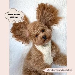 Festival Crochet Adjustable Neck Harness, Lead & Collar Bundle -Cocopup London 4 5c2b8deb 48d9 48c9 a393 df22a814b731