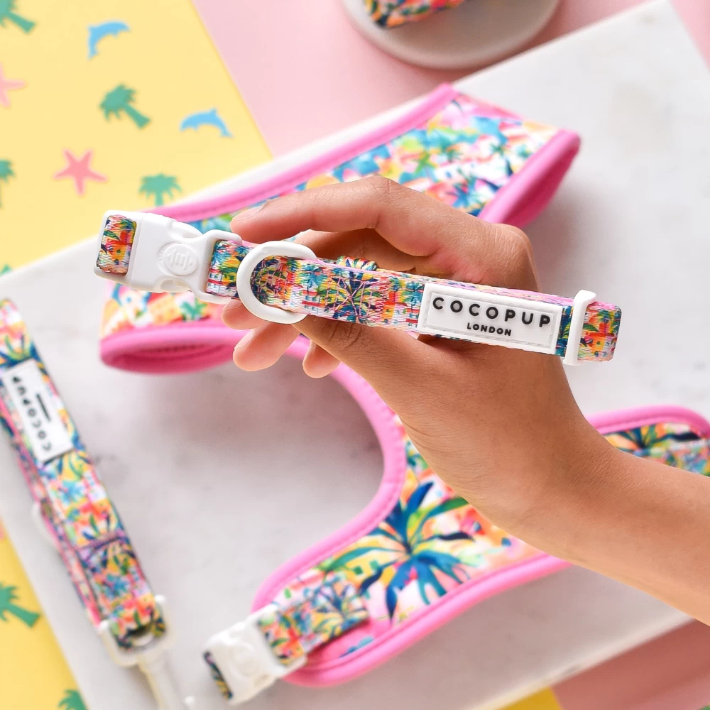 Portofino Pup Collar 3 Portofino Pup Collar