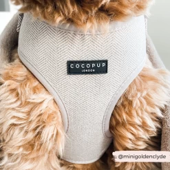 Brown Tweed Adjustable Neck Harness -Cocopup London 4 77e631a1 d646 4b63 a28e b10d6667b1e2