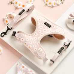 Daisy Chain Collar -Cocopup London 4 78ecc083 24c5 410b b2b6 3c98ff9e9026