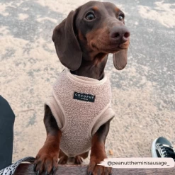 Teddy Adjustable Neck Harness - Rupert -Cocopup London 4 830bf335 e519 4dee 8463 8ba8142c7eee