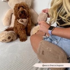 Teddy Rupert Dog Walking Bag Bundle - Teddy Rupert -Cocopup London 4 8c02610a 41be 4e93 b1bb 572fe330a28d