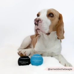 Tennis Ball - Midnight Black -Cocopup London 4 a1a79549 6d9a 4766 94ed e38c2e54b53d