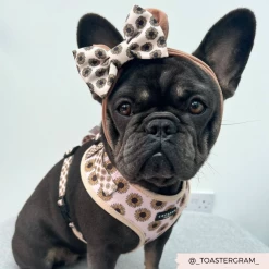 Sunflowers Bow Tie -Cocopup London 4 b323f82a cf25 4de6 9bce 3dee3f6b87ed