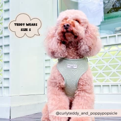 Luxe Adjustable Neck Harness - Sage Heart -Cocopup London 4 df2c92e9 a9f1 4bf4 87a8 03bb92aa5322