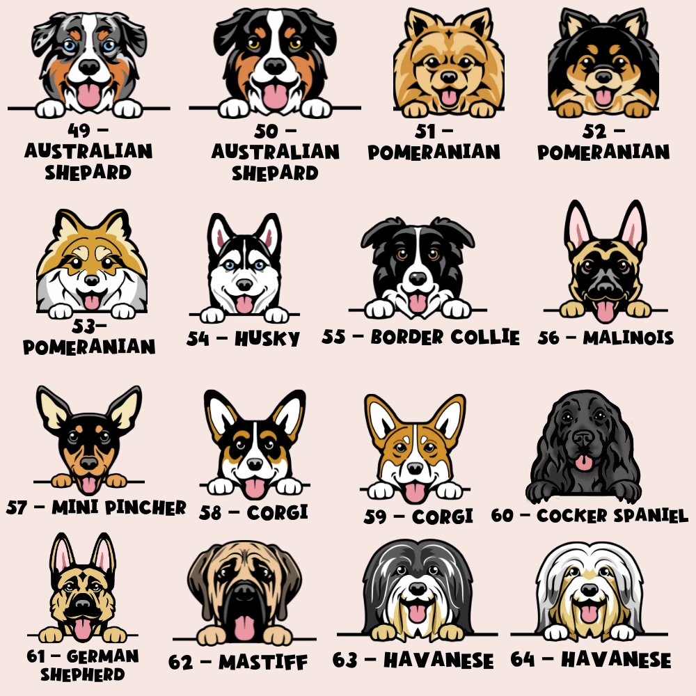 Personalised Dog Cartoon ID Tag - Groovy Florals 7 Personalised Dog Cartoon ID Tag - Groovy Florals - Image 5