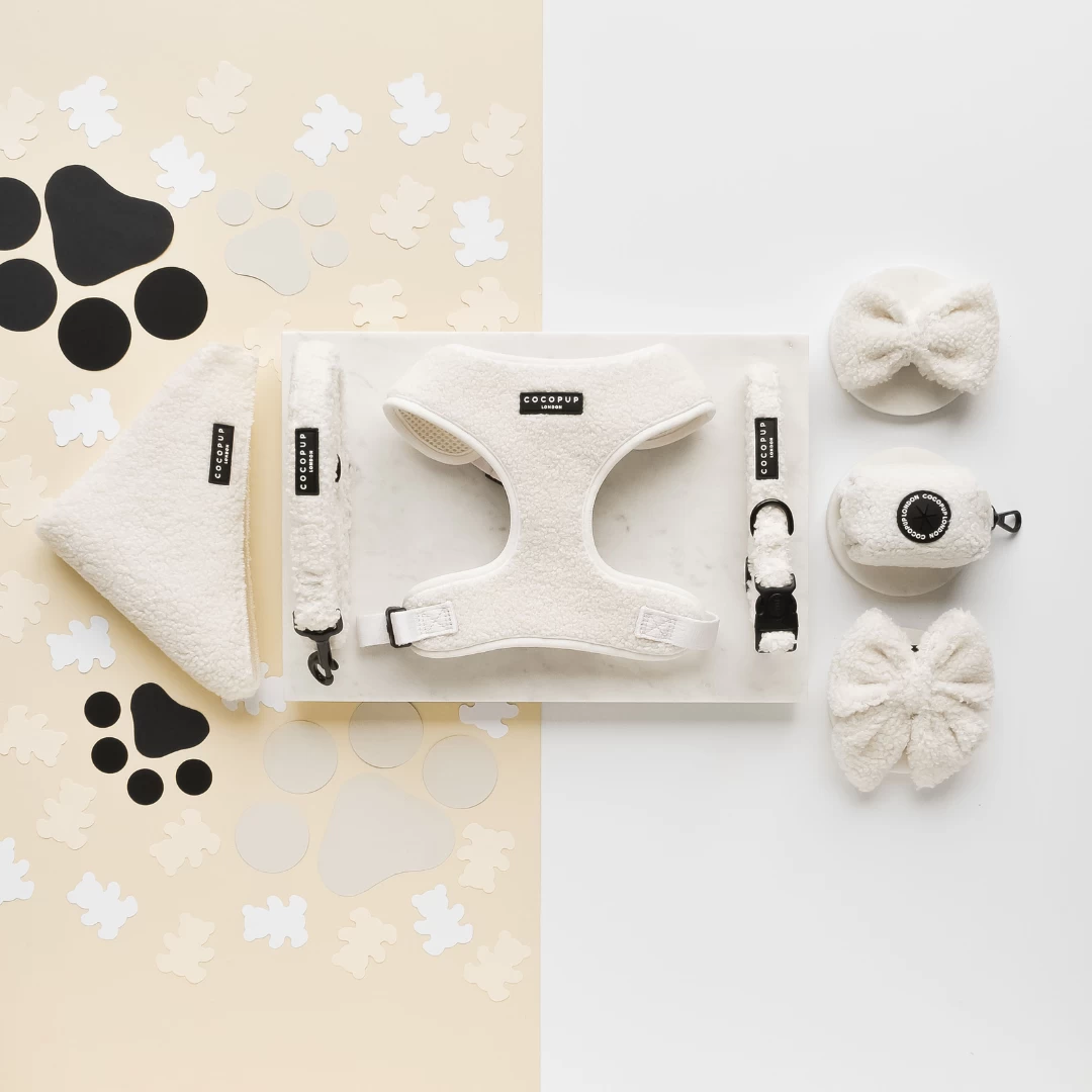 Teddy Bow Tie - Dolly 6 Teddy Bow Tie - Dolly - Image 4