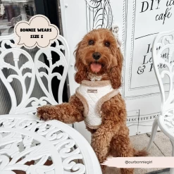 Quilted Adjustable Neck Harness, Lead & Collar Bundle -Cocopup London 50 3a0a2cb0 1f2c 4ff9 9d58 1dca67abe0c9