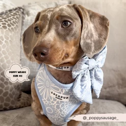 Luxe Sailor Bow Tie - Baby Blue Flower -Cocopup London 51 1e88484c 62e1 40c8 90e0 579f9b6e746f