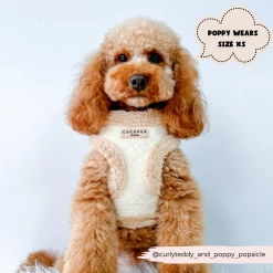 Quilted Adjustable Neck Harness -Cocopup London 53 3036a2c7 f110 41d4 aab2 49c62099ef2d