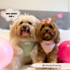 Luxe Baby Pink Heart Adjustable Neck Harness, Lead & Collar Bundle -Cocopup London 53 68296e25 06cb 49e8 b703 2c48b4d2fdc2