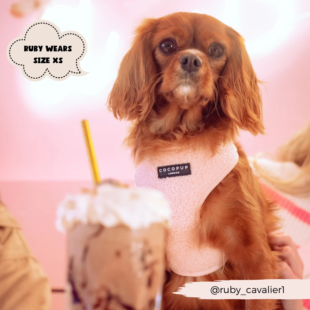 Teddy Adjustable Neck Harness - Love-a-Lot 6 Teddy Adjustable Neck Harness - Love-a-Lot - Image 4