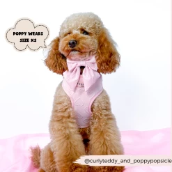 Luxe Adjustable Neck Harness - Baby Pink Heart -Cocopup London 55 1840280d 39b1 46dd a7cb dade861b50d2