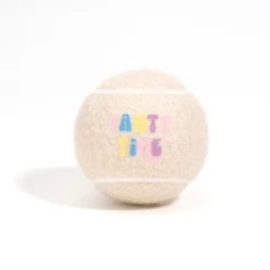 Limited Edition Birthday Tennis Ball - Pawty Time