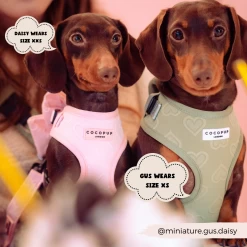 Luxe Baby Pink Heart Adjustable Neck Harness, Lead & Collar Bundle -Cocopup London 56 2a19eaa1 bd6d 4d9f b768 fa1e1716b4d8