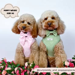 Luxe Adjustable Neck Harness - Sage Heart -Cocopup London 56 4c77aec8 f1ec 4edb 8c75 37ce2a3a63d6