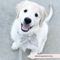 Brown Tweed Sailor Bow Tie -Cocopup London 56 90d70865 1df2 4bd1 ad66 d67249d72d1c