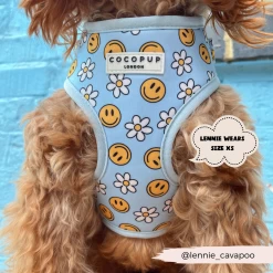 Smiley Pawty Tent Adjustable Neck Harness -Cocopup London 58 6c3e6732 31d7 43af ab07 42fc13a5037d