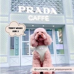 Luxe Adjustable Neck Harness - Sage Heart -Cocopup London 5 0d54be94 1028 4872 8e8c 916f06c861fa