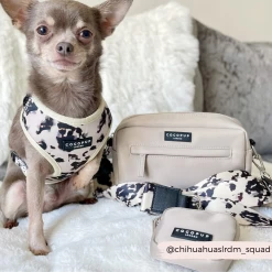 Dog Walking Bag Bundle - Ivory Tort -Cocopup London 5 108523af e406 4a82 9a0f b7e2815bd32d