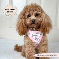 Daisy Gingham Rave Adjustable Neck Harness -Cocopup London 5 12efa759 b9bc 4def aab6 ac602df1ec8c