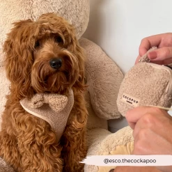 Treat Pouch - Teddy Rupert -Cocopup London 5 1b939f40 c3a2 4368 8587 ca2daf053f2a