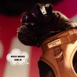 NAKD Adjustable Neck Harness - Brownie -Cocopup London 5 3182f753 e00e 4e80 a029 ca2242b1ea36