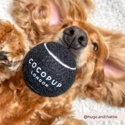 Tennis Ball - Midnight Black -Cocopup London 5 40c75a40 af75 4f50 adac 84f760ab7e14