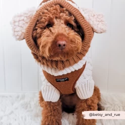 Teddy Adjustable Neck Harness - Paddington -Cocopup London 5 5cb4c777 8255 43d3 b83e 43b9b7eba3e3