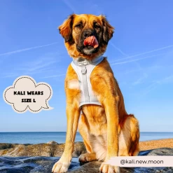 NAKD Adjustable Neck Harness, Lead, Collar And Poop Bag Holder Bundle - Bubblegum -Cocopup London 5 68ad53b8 f617 4395 a1c1 b26c33791e0a