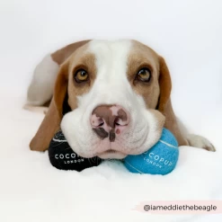 Tennis Ball - Midnight Black -Cocopup London 5 79e7e04b c882 4b19 852e 04146c33399a