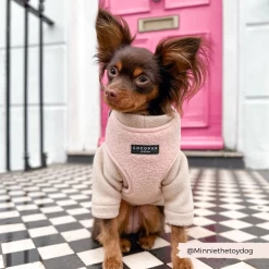 Teddy Adjustable Neck Harness - Love-a-Lot 29 Teddy Adjustable Neck Harness - Love-a-Lot -Cocopup London 5 8aa494da af29 49f7 aa44 c2cbcd7b0253