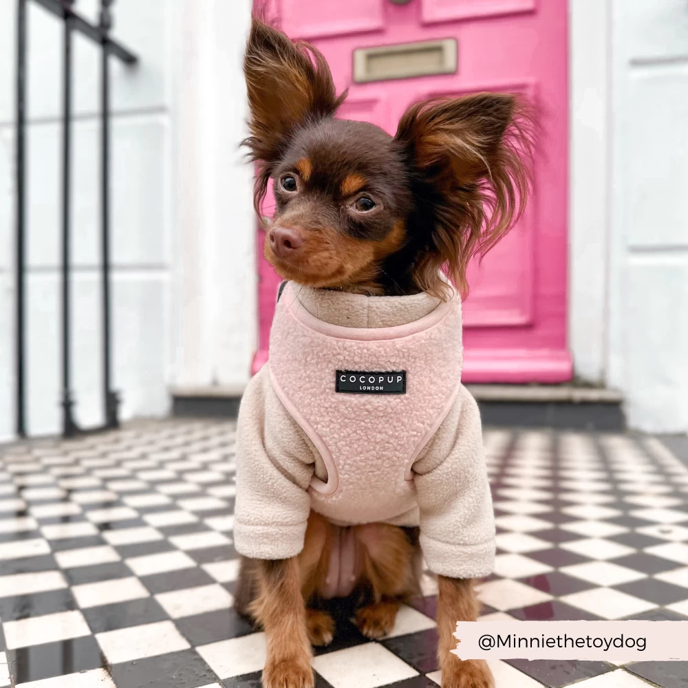 Teddy Adjustable Neck Harness - Love-a-Lot 10 Teddy Adjustable Neck Harness - Love-a-Lot - Image 8