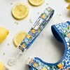 Amalfi Lemon Lead -Cocopup London 5 8b959389 847b 484d 8e48 03764ac1a173