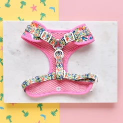 Portofino Pup Adjustable Neck Harness -Cocopup London 5 8c186727 335c 4da5 93ca f0bc1cbbe927