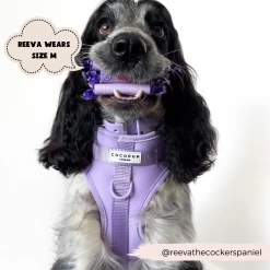 NAKD Adjustable Neck Harness - Parma Violets -Cocopup London 5 8cb4ad2d 2352 4752 9d45 a7928ae1d381