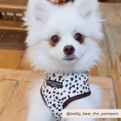 Monochrome Spots Adjustable Neck Harness, Lead & Collar Bundle -Cocopup London 5 92c27a1c 23a1 4f7e a659 0ab64d3e7d58