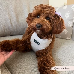 Brown Tweed Adjustable Neck Harness, Lead & Collar Bundle -Cocopup London 5 9c6dad48 375b 4047 bcf3 1bd6dbb300a2