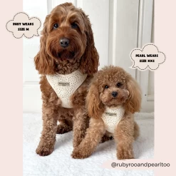 Festival Crochet Adjustable Neck Harness, Lead & Collar Bundle -Cocopup London 5 a3431307 6ae2 44ed 9d7d 00516373a7a2