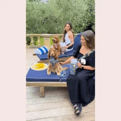 Amalfi Lemon Adjustable Neck Harness, Lead & Collar Bundle -Cocopup London 5 deef60c8 100b 4f95 8066 2d7aaa9bf9f7