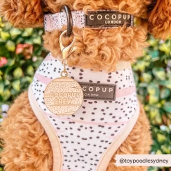 Dog Collar Charm - Cocopup Crew -Cocopup London 5 fa565a7c 16ee 4285 b7e1 72202630d96e