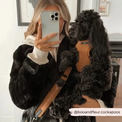 Teddy Adjustable Neck Harness - Paddington -Cocopup London 5 ffccc7d4 943e 45e4 8797 077f02045c40