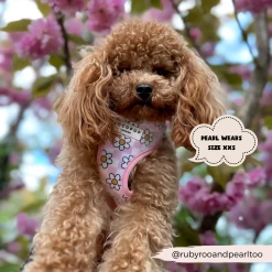 Daisy Gingham Rave Adjustable Neck Harness -Cocopup London 60 ba73110e 5cf6 433d 8d31 1ec21360591a