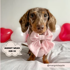 Luxe Sailor Bow Tie - Baby Pink Heart 17 Luxe Sailor Bow Tie - Baby Pink Heart -Cocopup London 60 c4005fa9 0186 4acd 892c dd2b768d8bc2