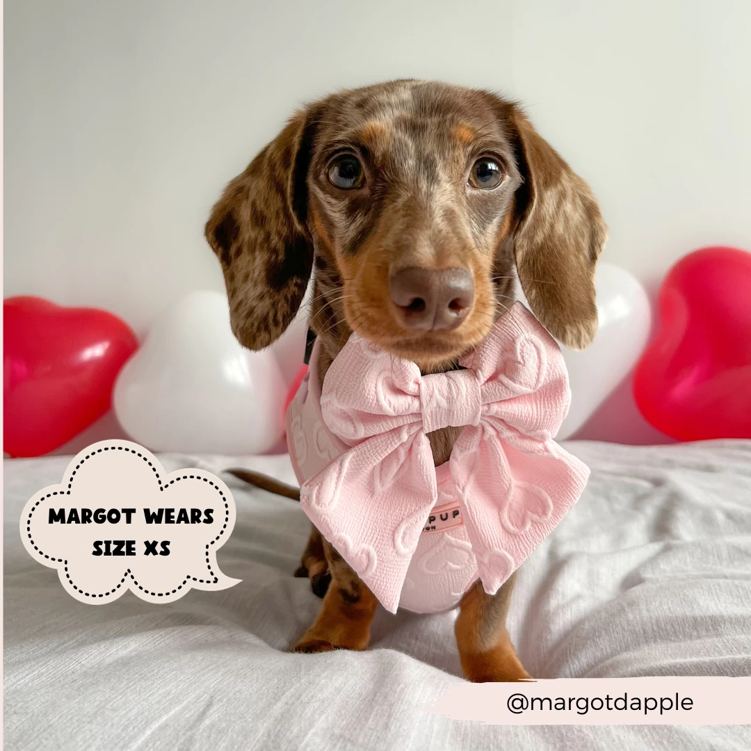 Luxe Sailor Bow Tie - Baby Pink Heart 8 Luxe Sailor Bow Tie - Baby Pink Heart - Image 6