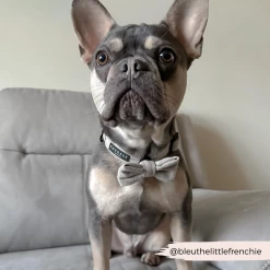 Brown Tweed Collar -Cocopup London 67 0a9f9ffd da53 4aac 884d 1bbcf3f60ffa