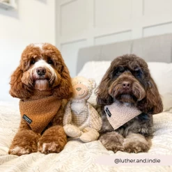 Teddy Bandana - Paddington -Cocopup London 6 00db8d6c b986 4e87 90c3 0d8c0773462d