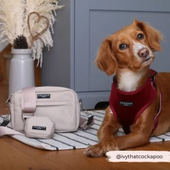 Dog Walking Caramel Latte Bag Bundle - Caramel Latte -Cocopup London 6 11ee7656 5bf5 4269 a127 583dcc76f99a