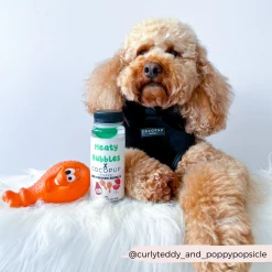 Cocopup X Meaty Bubbles - BBQ Chicken -Cocopup London 6 3d68ad7b 1e48 46aa b375 f300a144bdc9